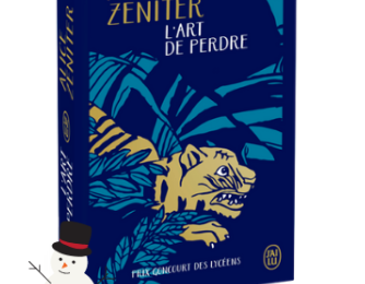  Sorties livres de poche spécial éditions collector pour Noël : L'art de perdre/ Quand sort la recluse