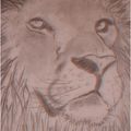 Lion (fusain) - [de Del]