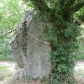 Menhir de la Grée, Messac