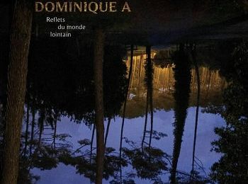 "Reflets du monde lointain" de Dominique A : "Epris de précipices", vraiment ?
