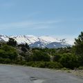 Crète : jour 13 : Vers le Mont Ida.