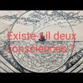 Y a-t-il deux consciences?