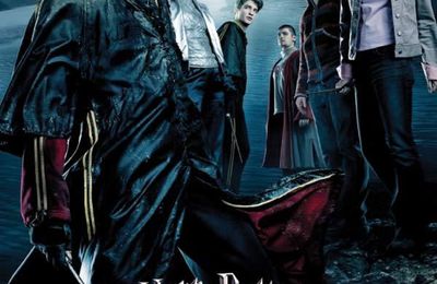 Harry Potter pose son balai sur TF1