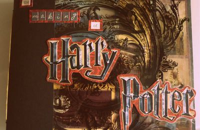 le monde merveilleux d'harry potter