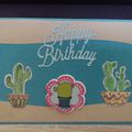 Carte anniversaire cactus 