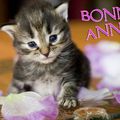 Bonne année à tous!