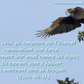 Esaïe 40:31 - Se confier en l'Eternel (Verset Illustré)