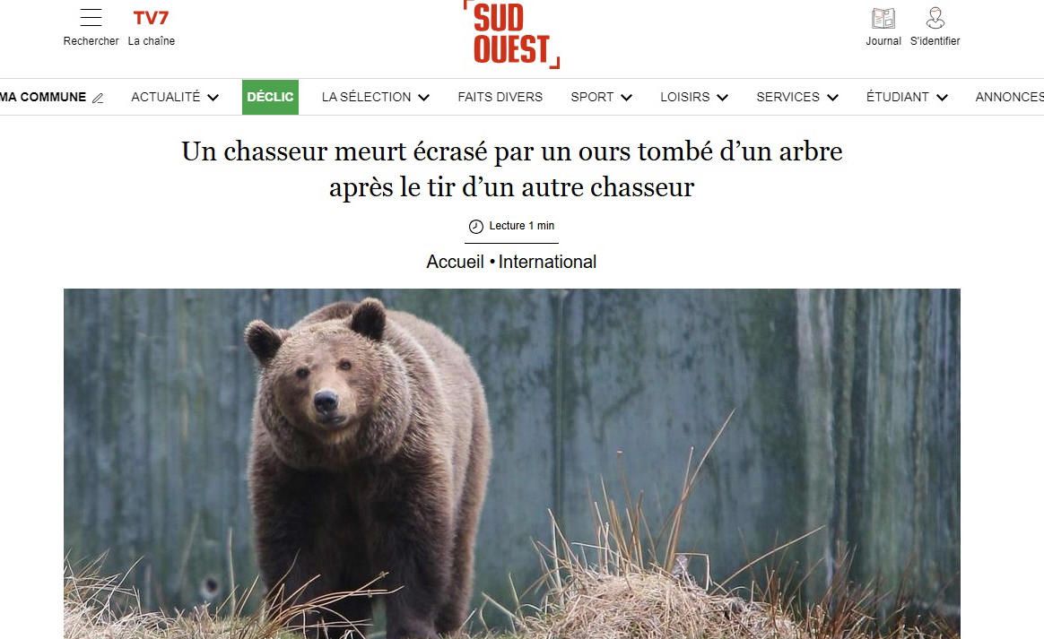 la peau de l'ours