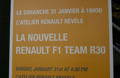 RENAULT F1 TEAM R30