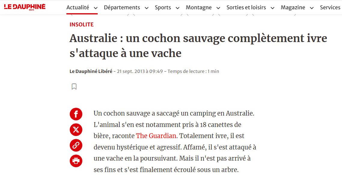 Alcool rend fou