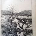 Chasse chien canard illustration ancienne sp50