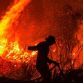 Incendie en Indonésie