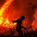 Incendie en Indonésie