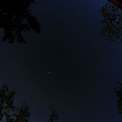 La nuit dans la forêt caanadienne