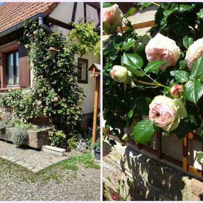 Les supports de jardinières sont fixés, je suis