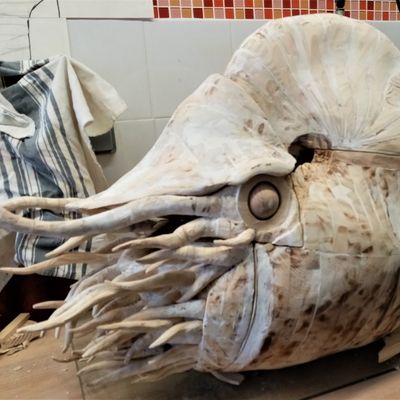 Projet Le Nautilus et le Nautile