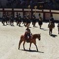 L'art équestre et l'équitation classique française.*
