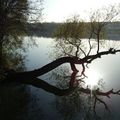 Au dessus de la Seine