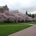 Printemps sur le campus