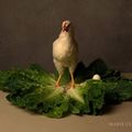 Food portraits, Les natures mortes de Marie Cecile Thijs