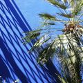 Le bleu des palmiers