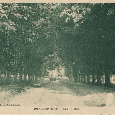 Criel - sur - Mer Edition: Alice Claude