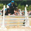 poneys Landais 