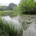 Zénitude au parc des Gayeulles à Rennes le 19 mai 2013 (1)