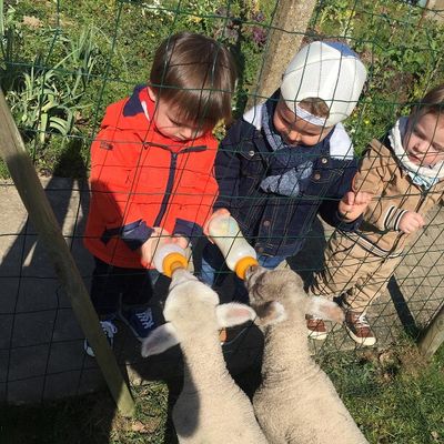 Suite du jour 2 du printemps...