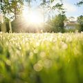 Méditation pour un matin d'été