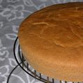 Biscuit Madeira ou biscuit à sculpter