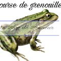 COURSE DE GRENOUILLES
