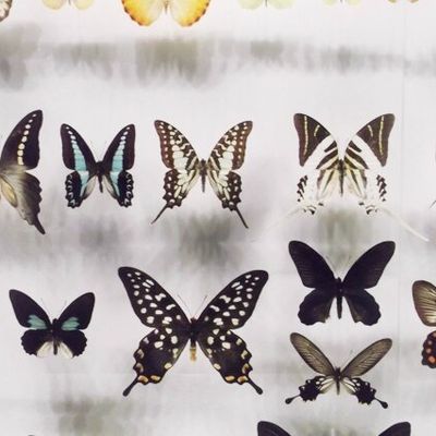 It's better in the dark