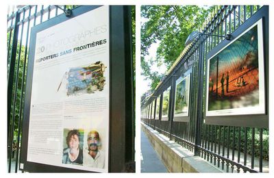 Expositions sur les grilles du Sénat