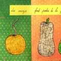 Les courges (1) - novembre 2015