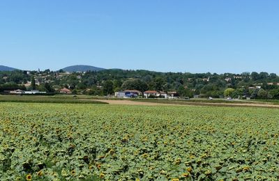 heimsbrunn - la bédoule