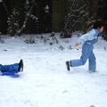 Février sous la neige