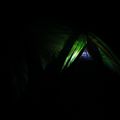 Camping au lac Cowichan : Un système de camping pour citoyens honnêtes!