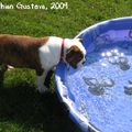 Un dimanche au bord de la piscine