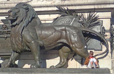 Le lion et la lectrice ....