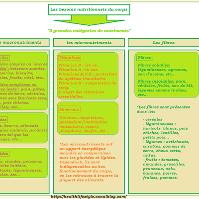 Les besoins nutritionnels du corps