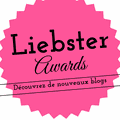 Ma nomination au "Liebster Award 2017"