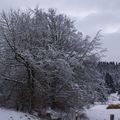 Boule de neige