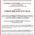 TOROS BRAVOS EN CRAU