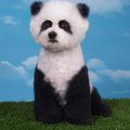 creative grooming panda