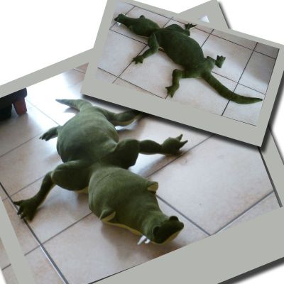 ha les crococo, les crocodiles...