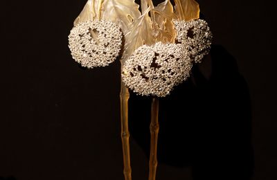 Hair comb in the form of two branches of Viburnum, René Lalique, ca. 1902 - ca. 1903