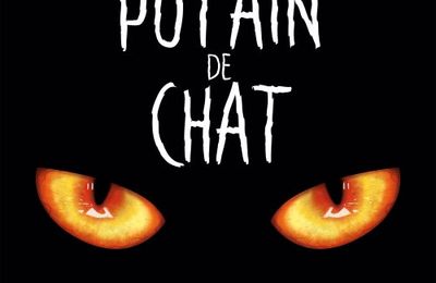 Putain de chat 1, 2 et 3 - Lapuss'