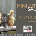 MINI KITS SALE