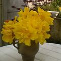 bouquet de tulipes